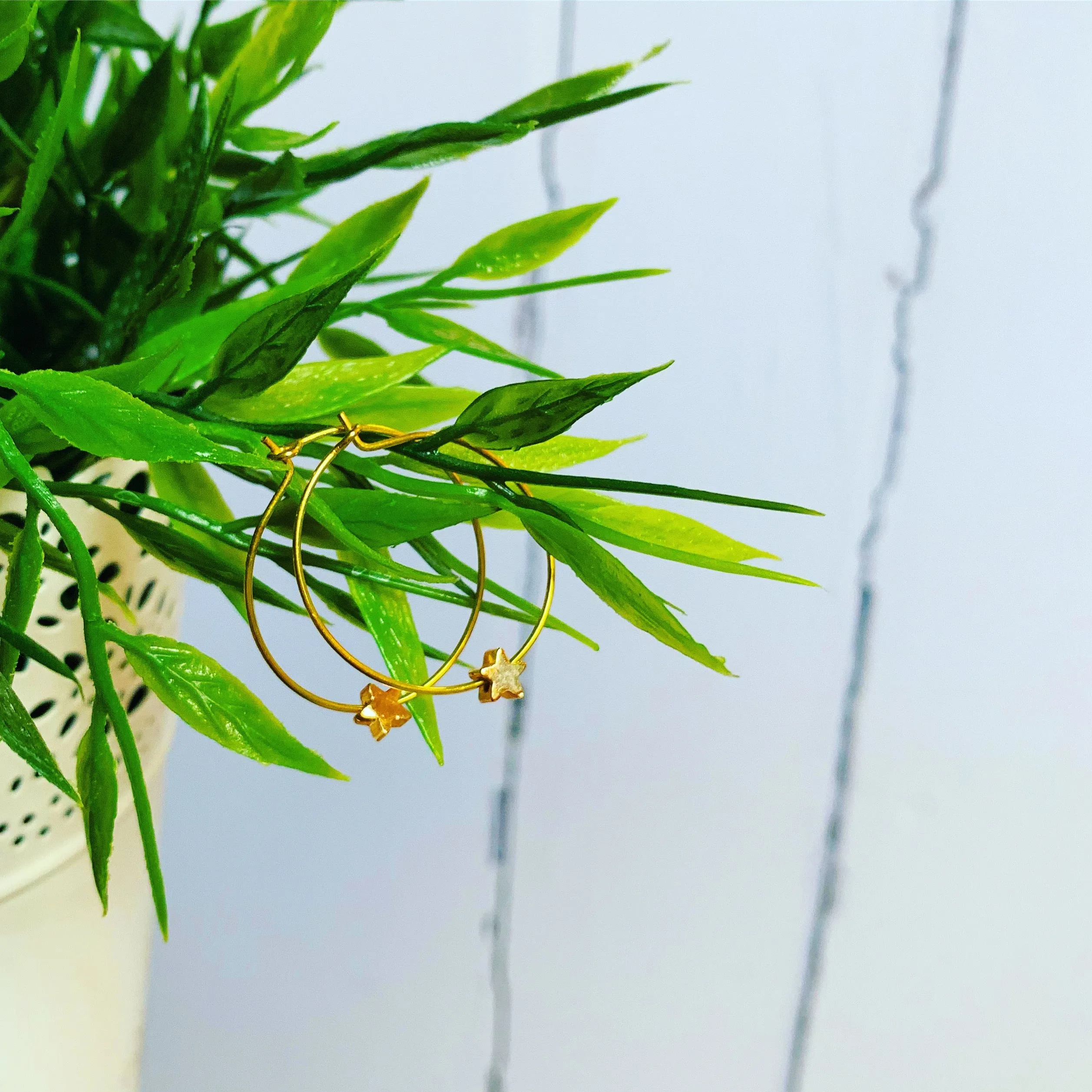 Miniature gold star hoops