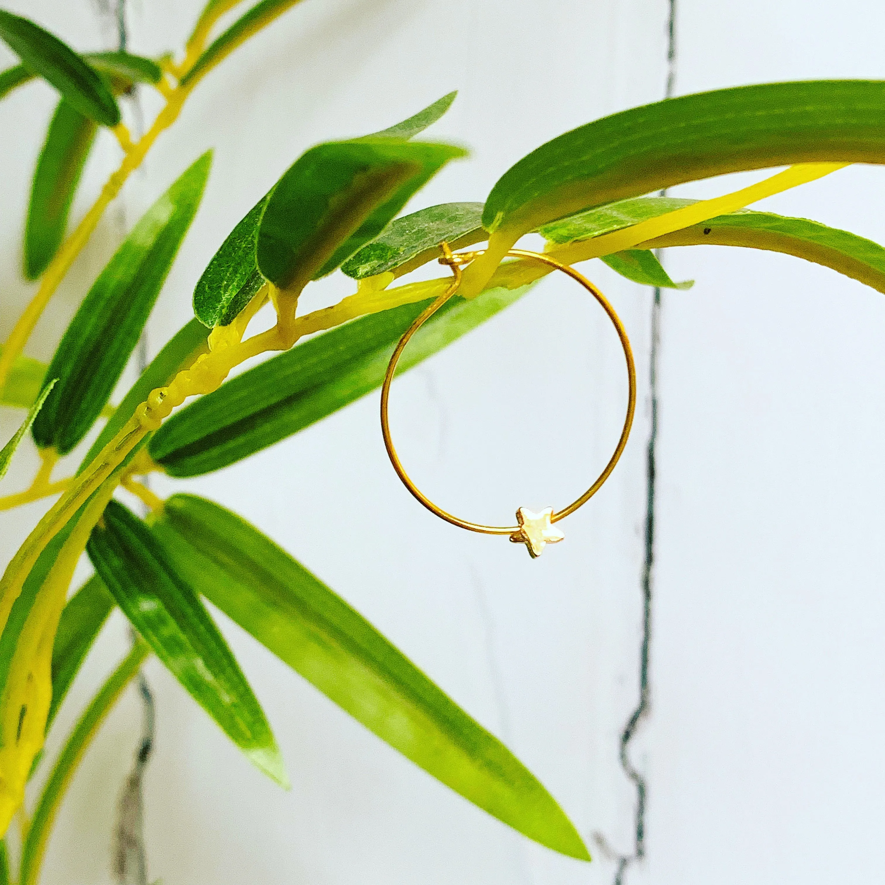 Miniature gold star hoops